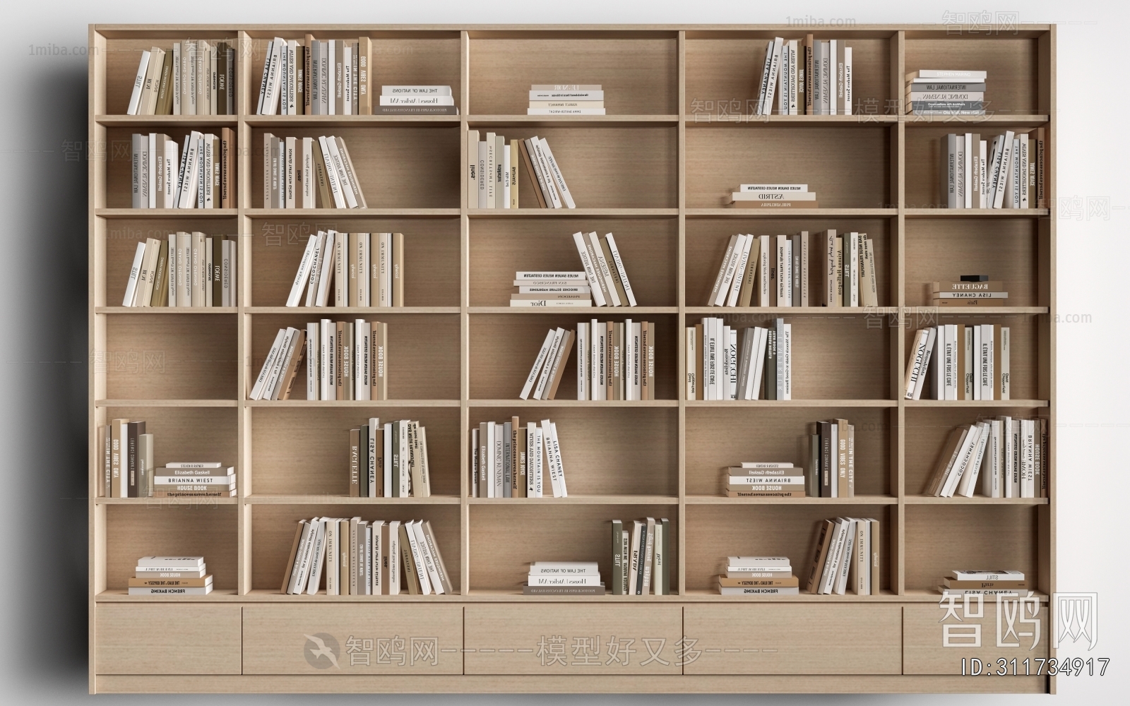 Modern Bookcase