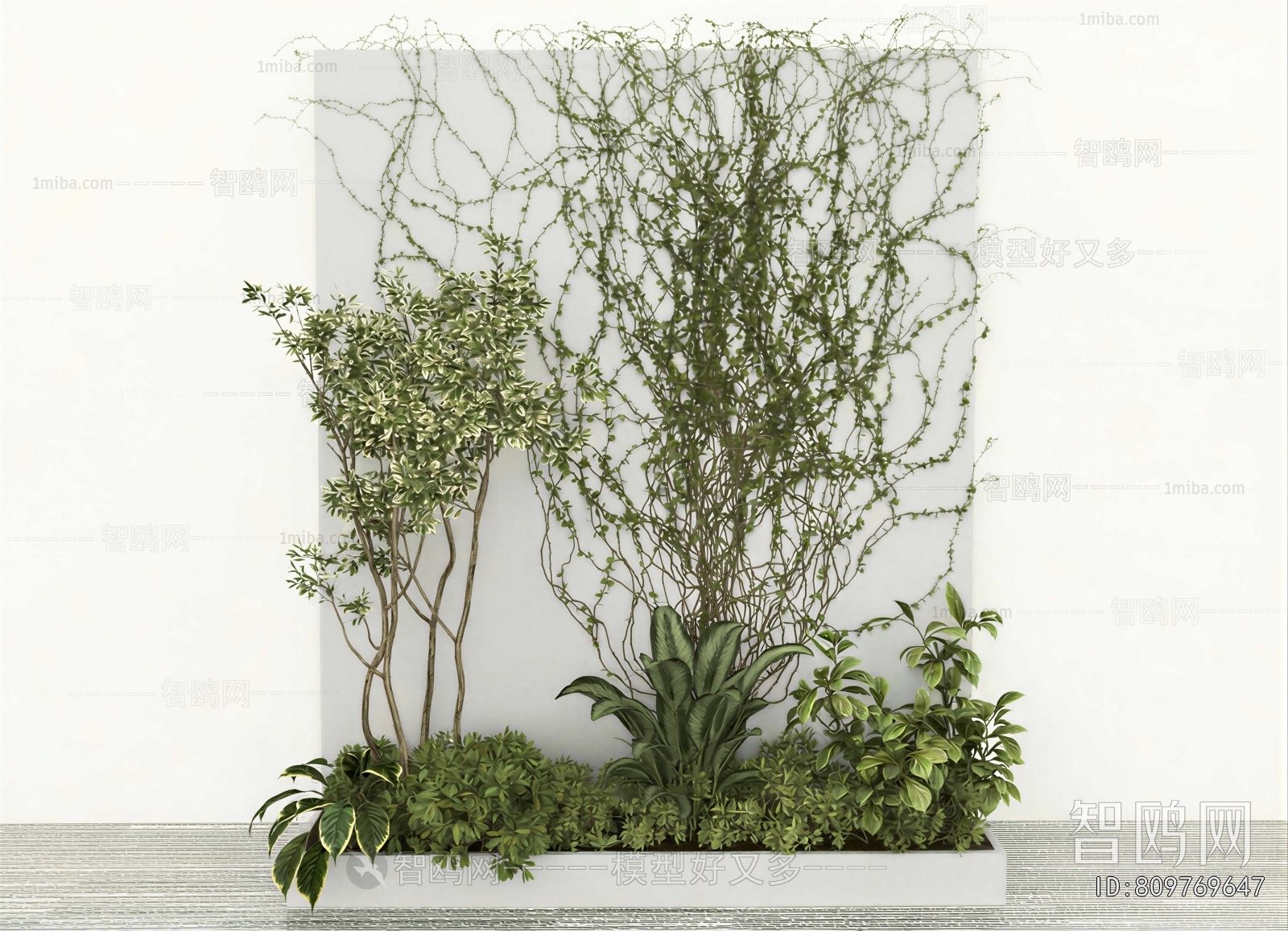 Modern Plant Wall