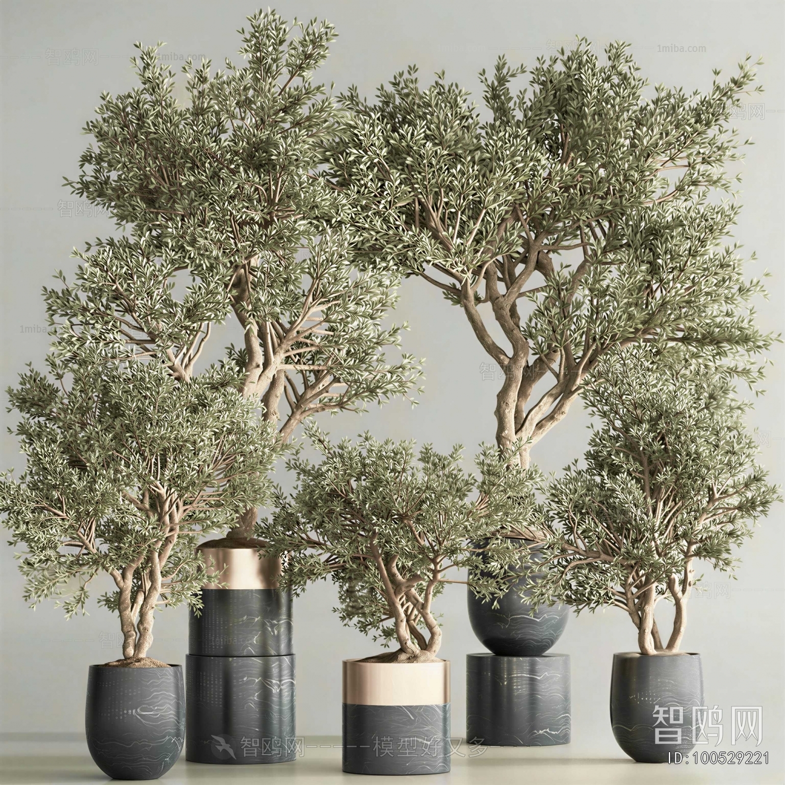 Modern Ground Green Plant Potted Plants