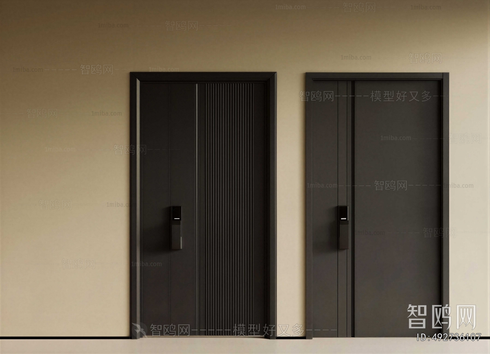 Modern Entrance Door