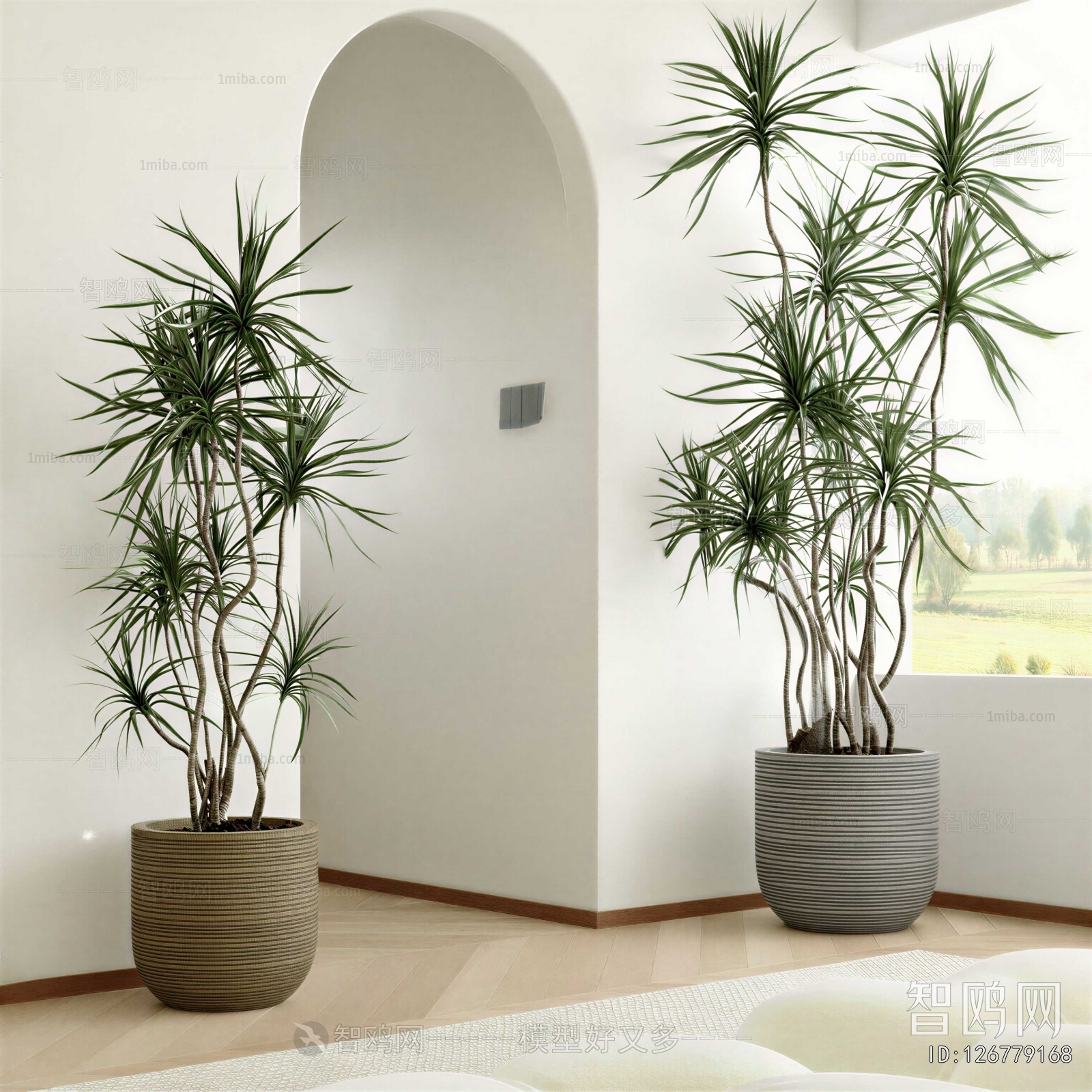 Modern Ground Green Plant Potted Plants