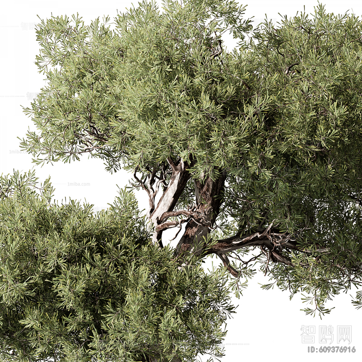 New Chinese Style Bonsai