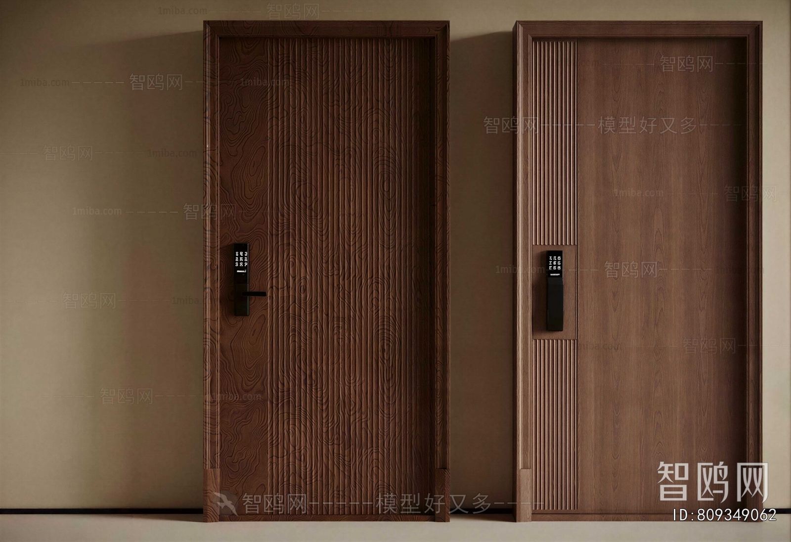 Modern Entrance Door