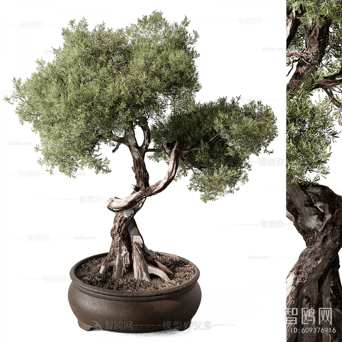 New Chinese Style Bonsai