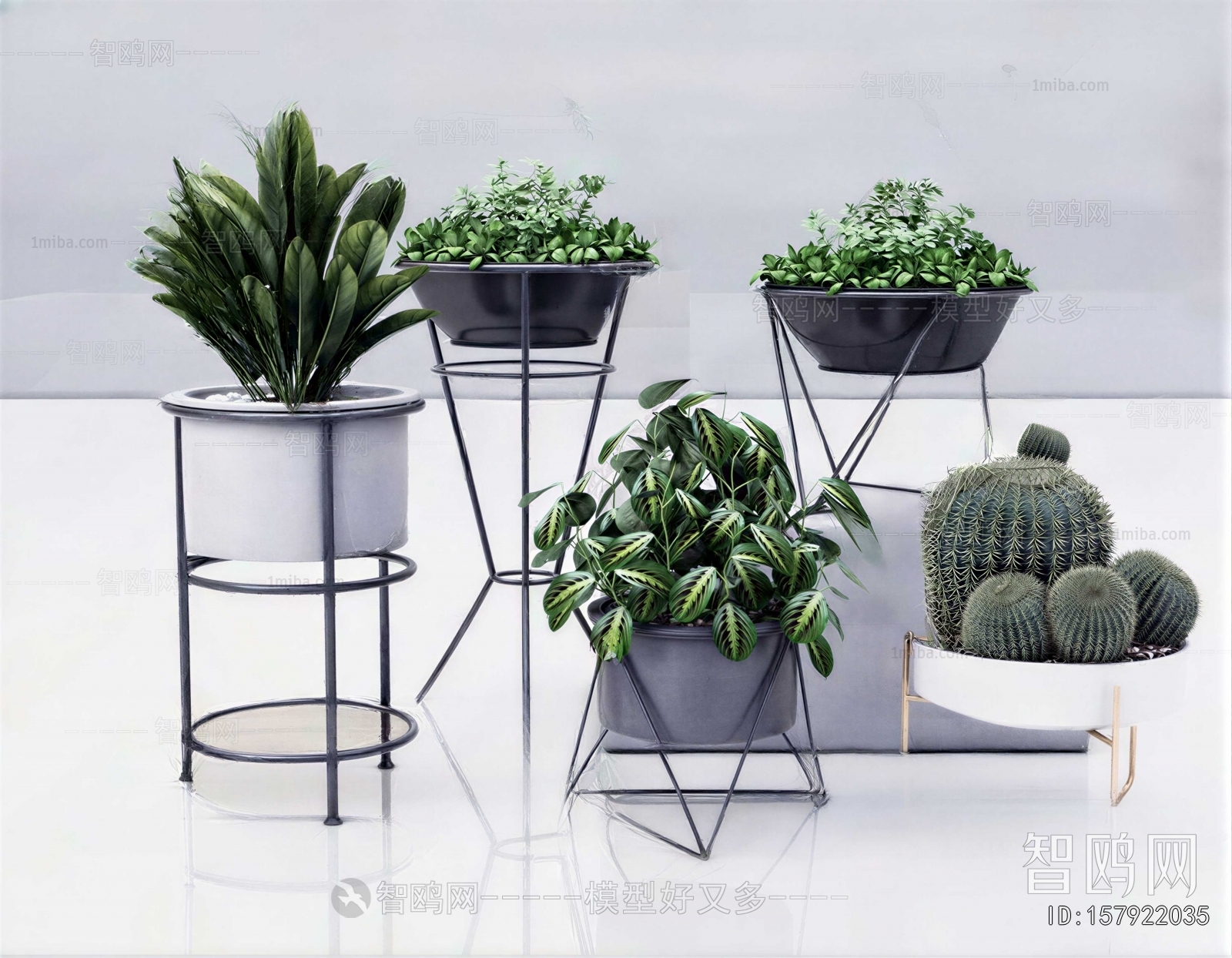 Modern Ground Green Plant Potted Plants