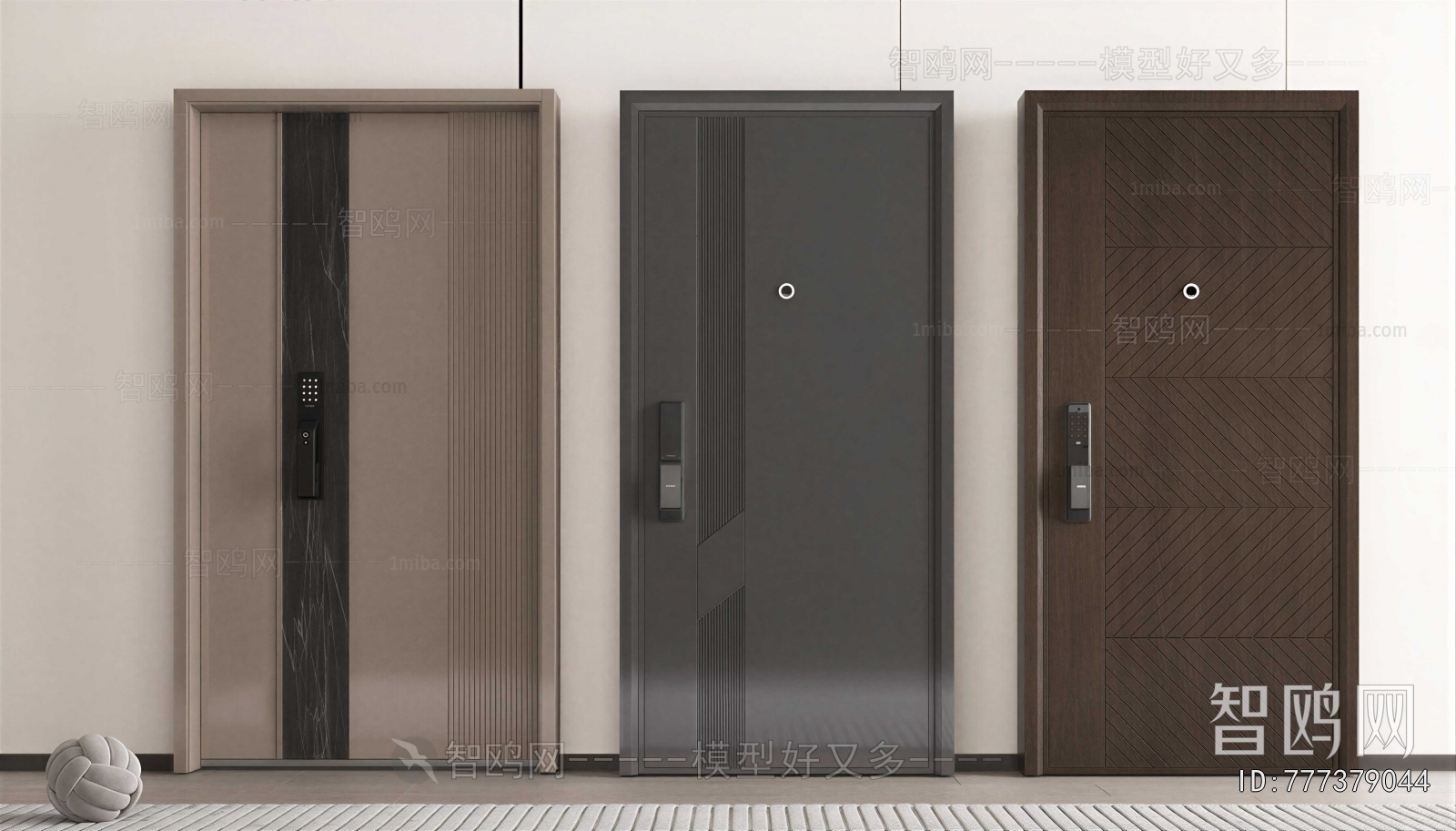 Modern Entrance Door