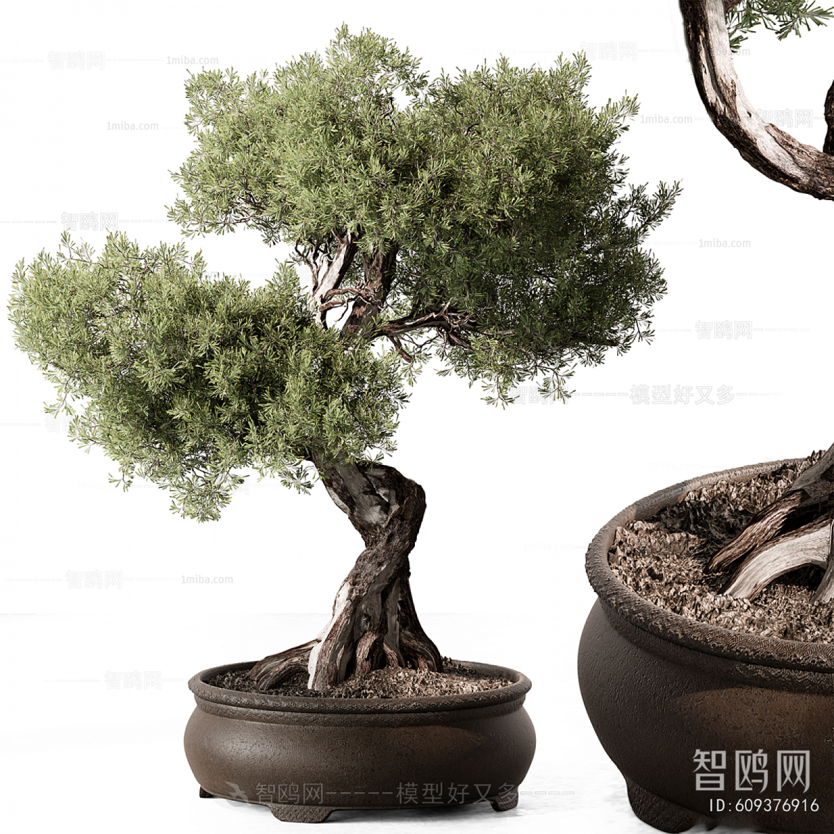 New Chinese Style Bonsai