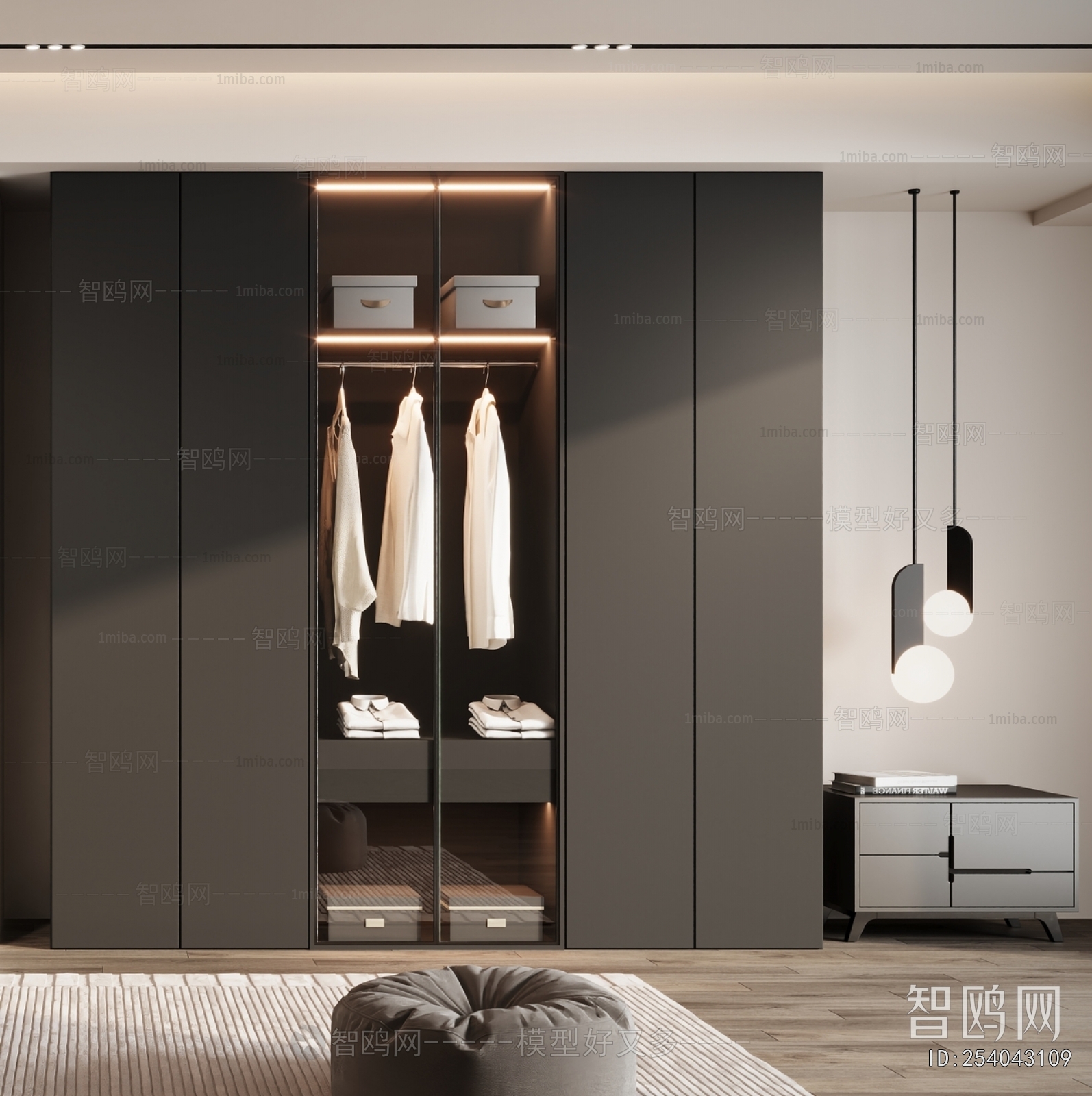 Modern Clothes Storage Area