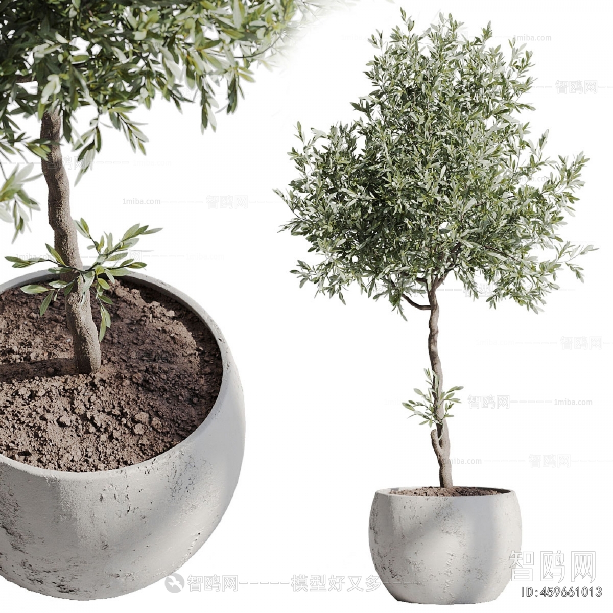 Modern Ground Green Plant Potted Plants