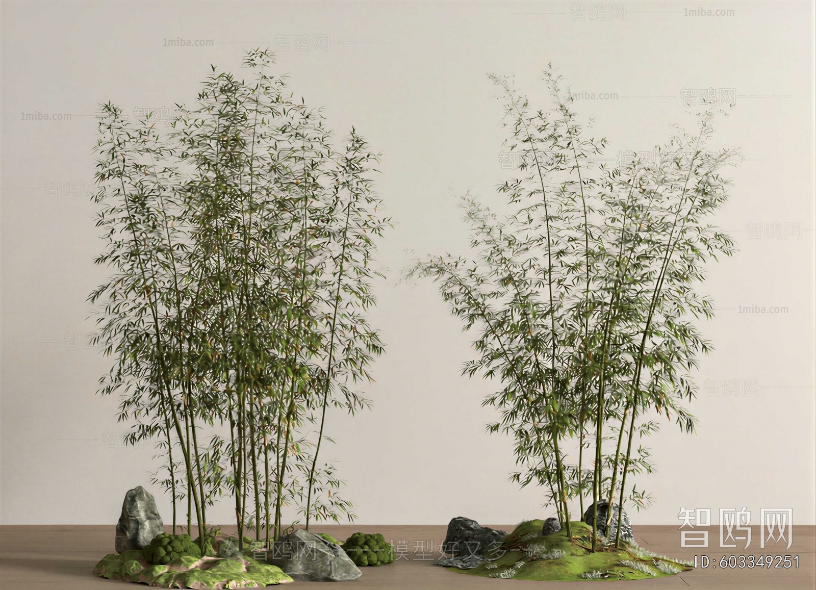 Modern Plant Landscaping