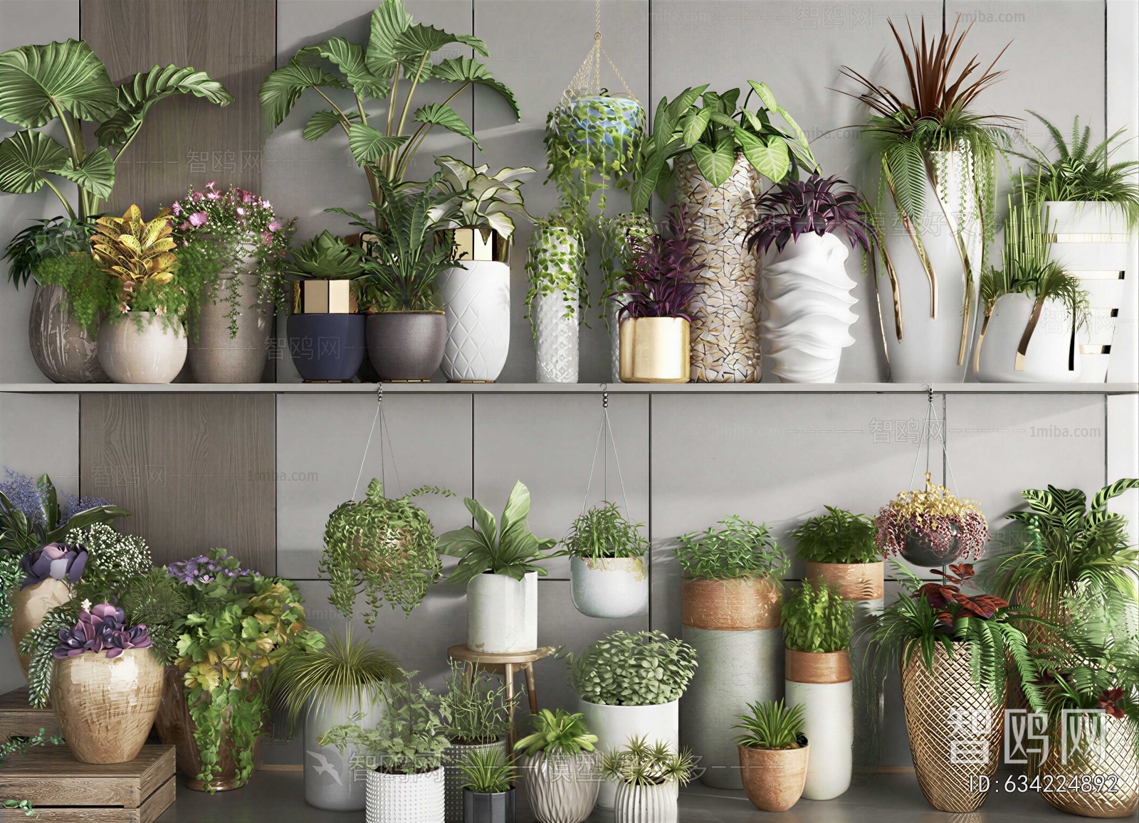 Modern Potted Green Plant