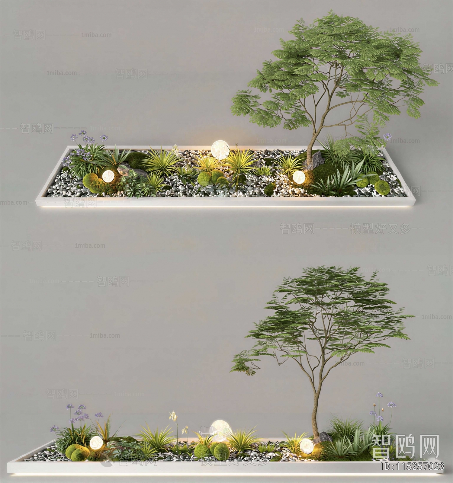 Modern Plant Landscaping