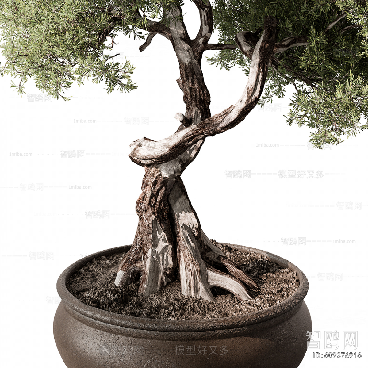 New Chinese Style Bonsai