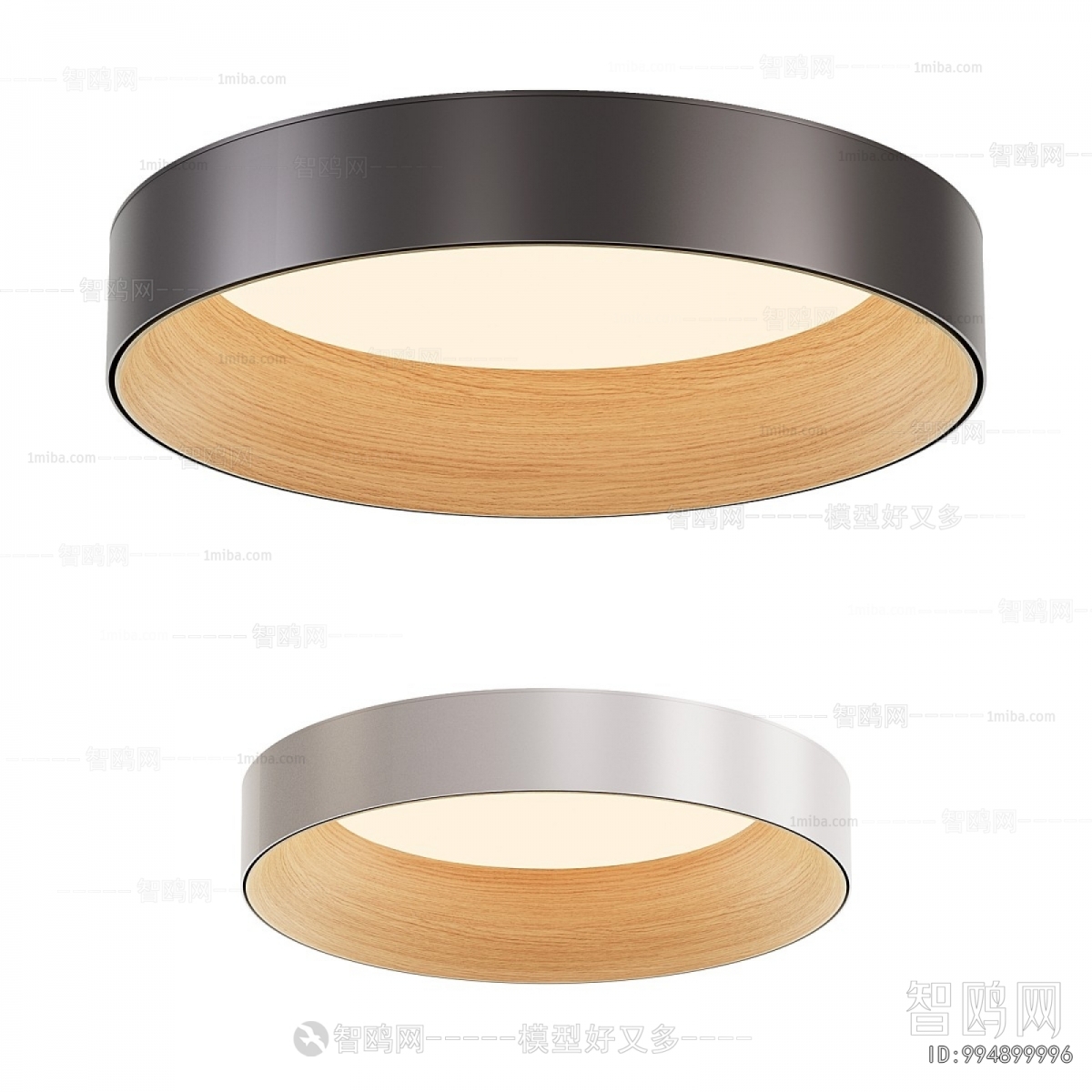 Modern Ceiling Ceiling Lamp