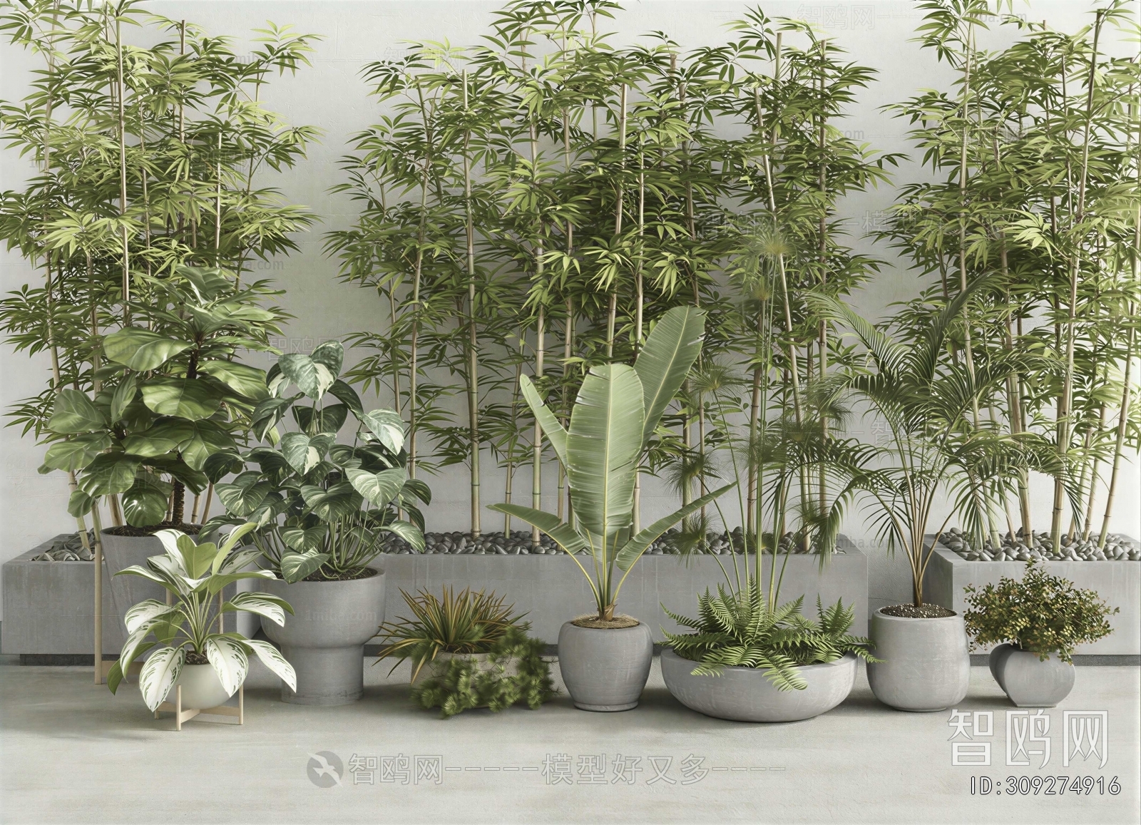 Modern Ground Green Plant Potted Plants