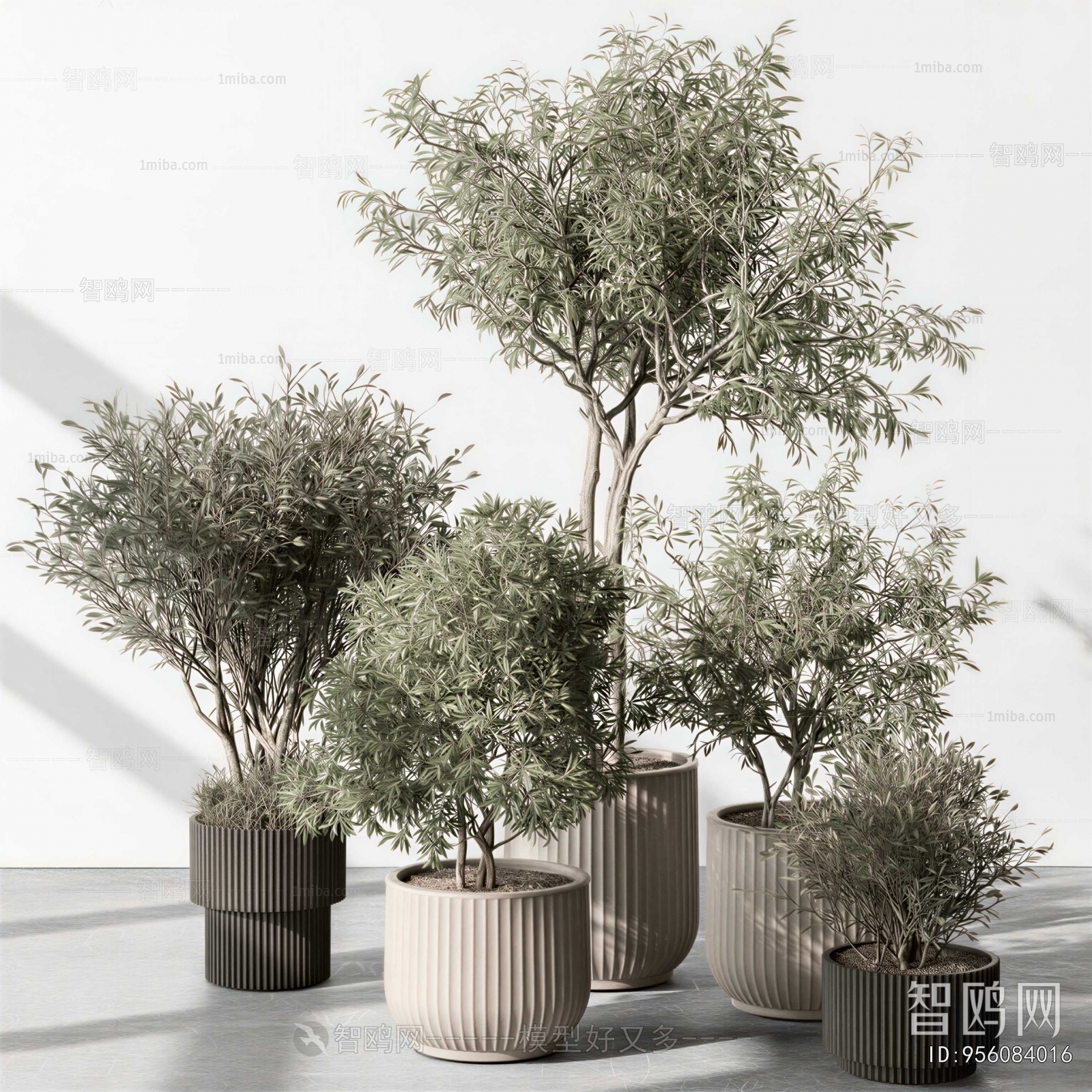 Modern Ground Green Plant Potted Plants