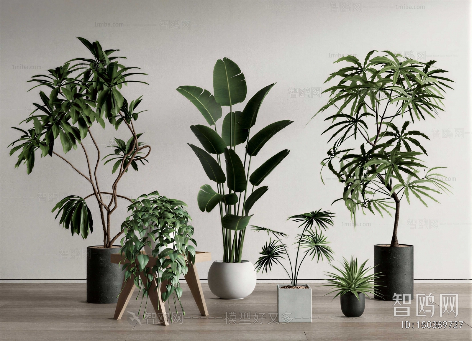 Modern Ground Green Plant Potted Plants