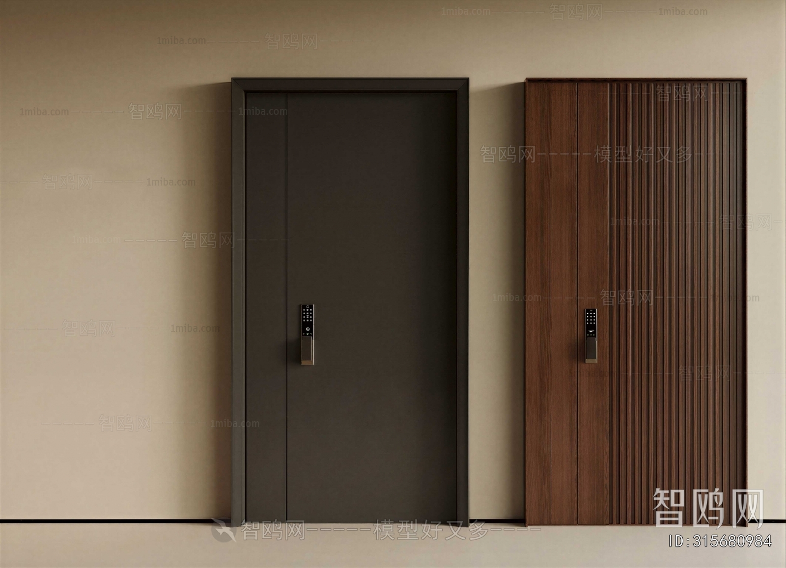 Modern Entrance Door