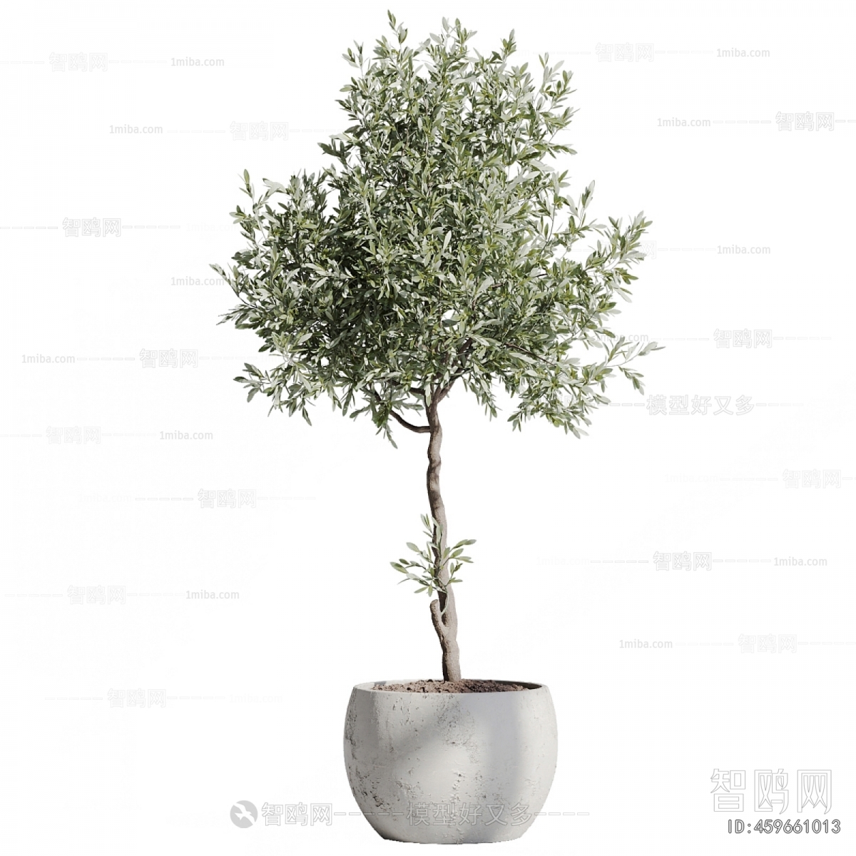 Modern Ground Green Plant Potted Plants