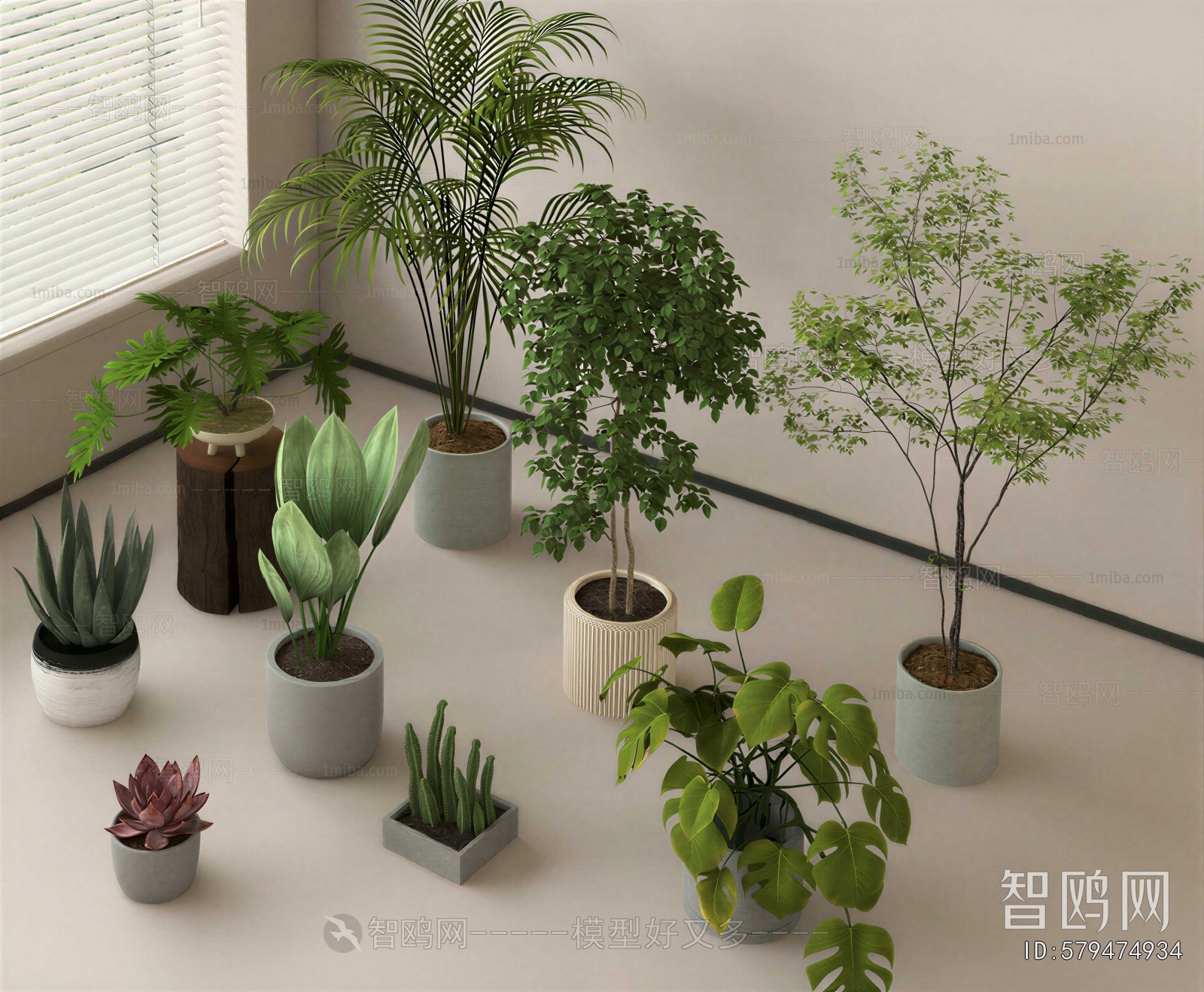 Modern Ground Green Plant Potted Plants