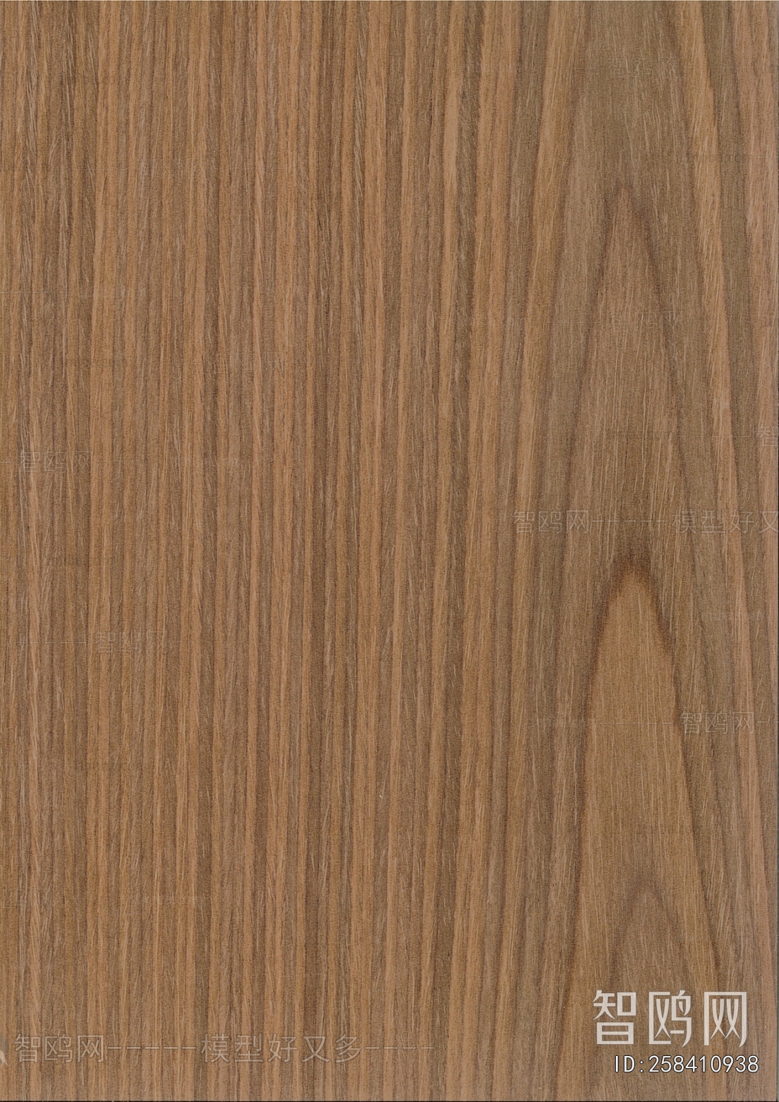 Wood Texture