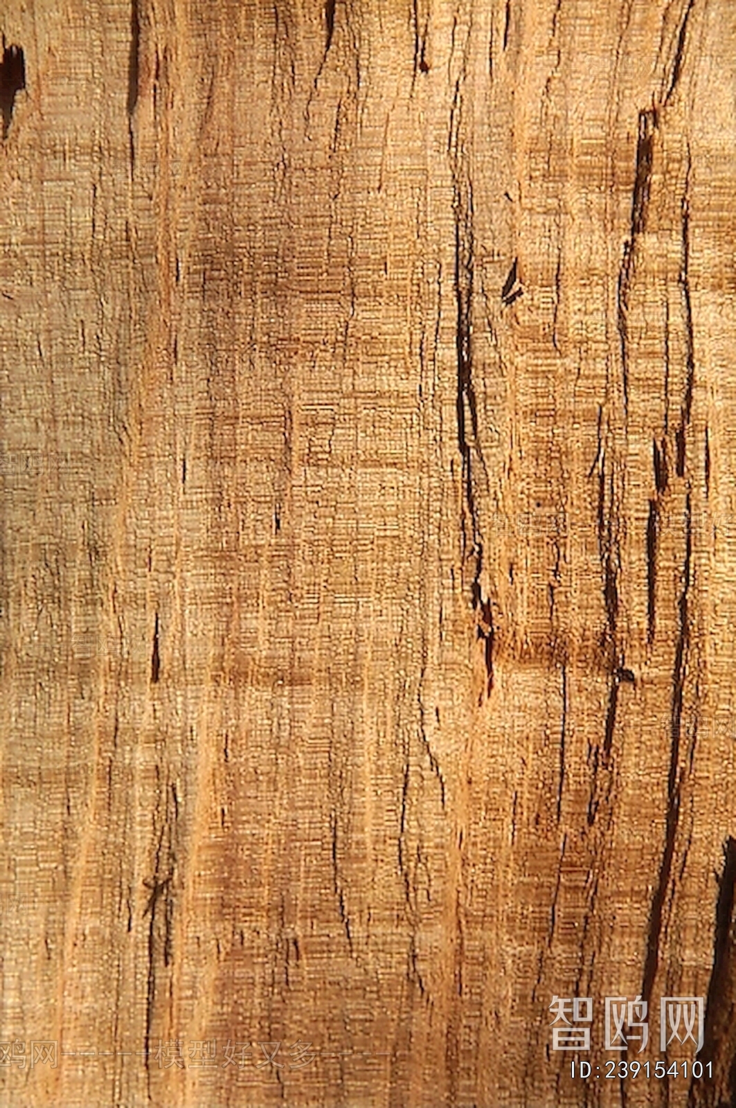 Wood Texture