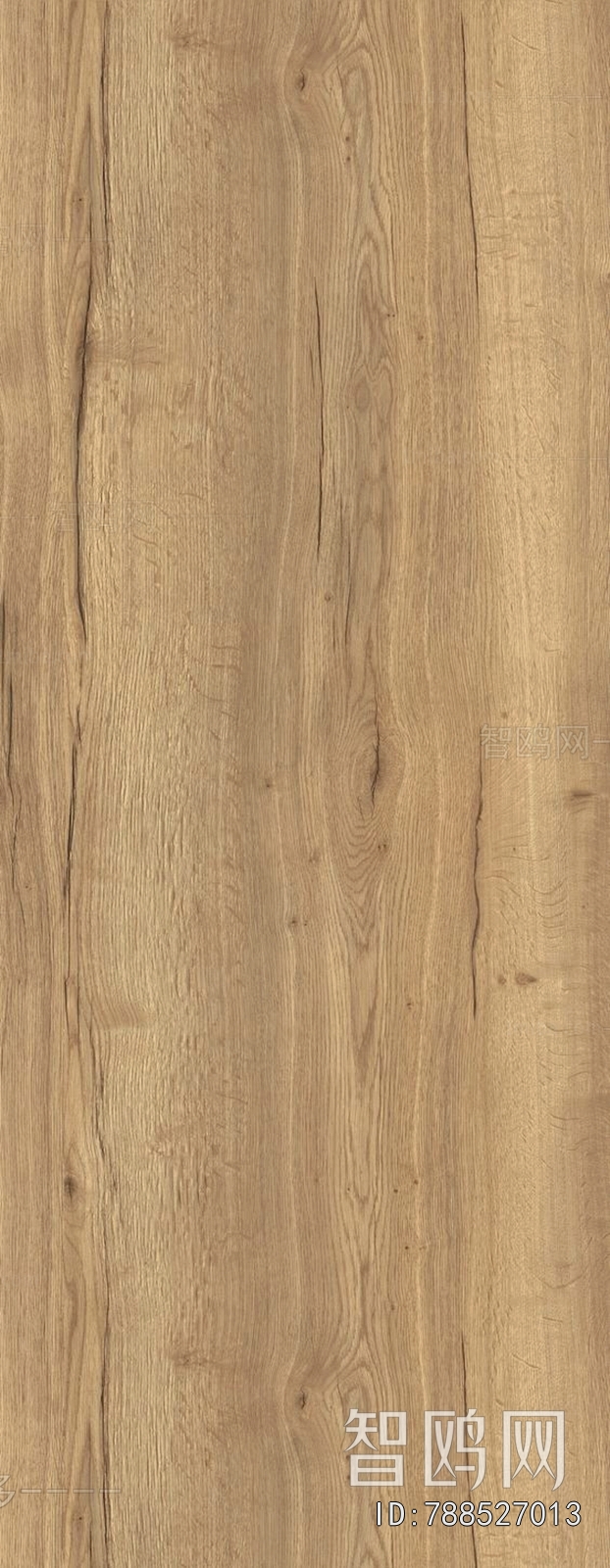 Wood Texture