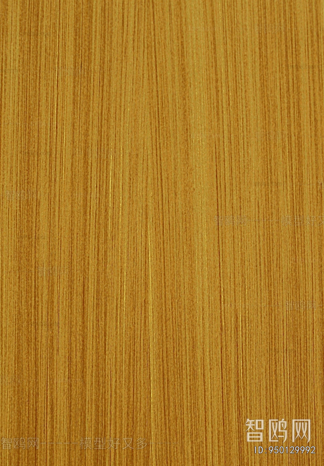 Wood Texture