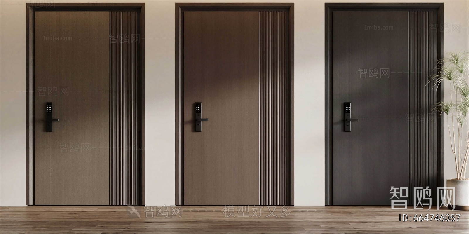 Modern Entrance Door