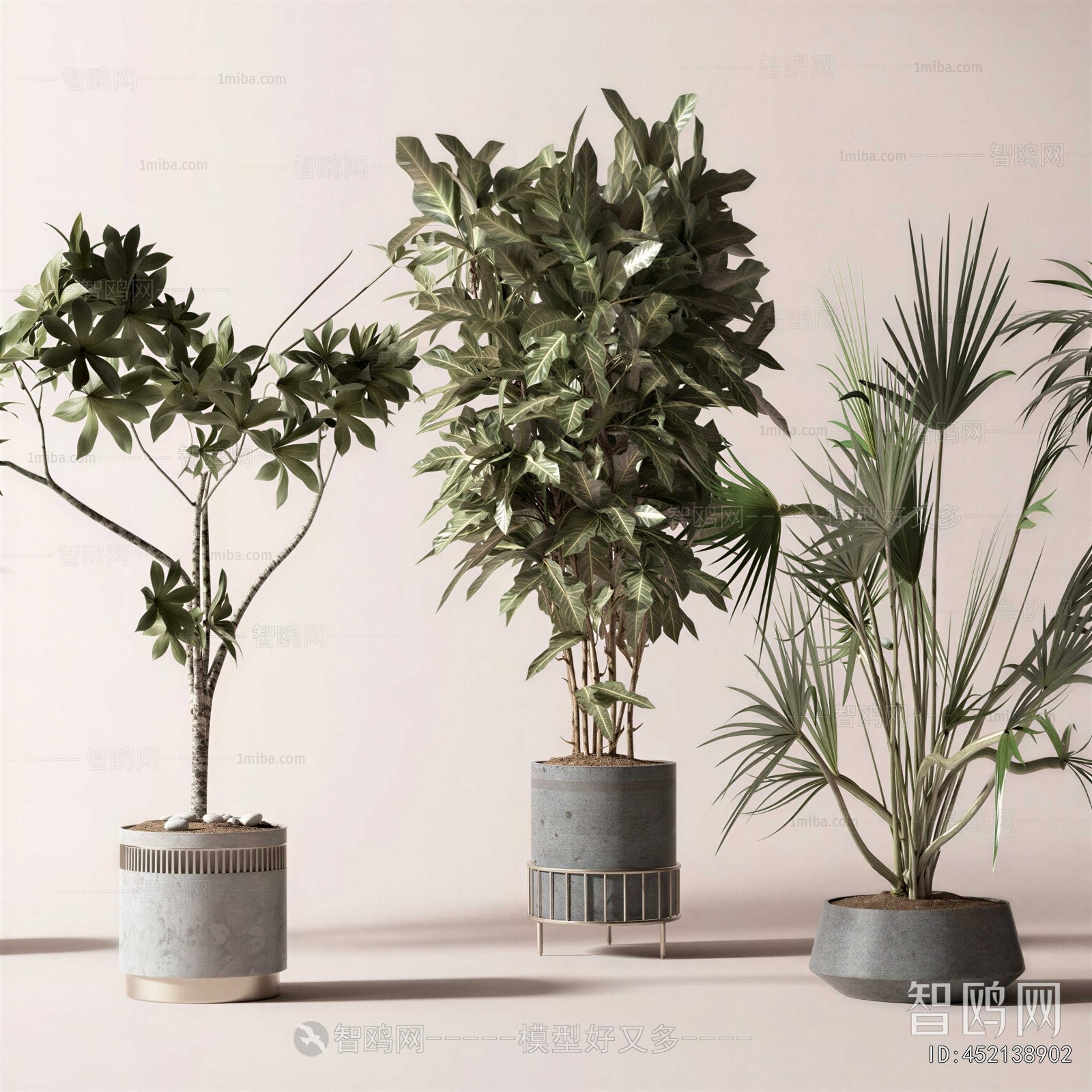 Modern Ground Green Plant Potted Plants