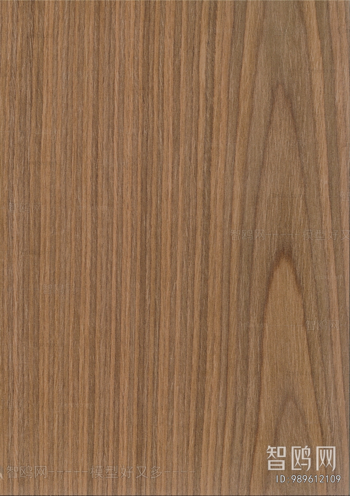 Wood Texture