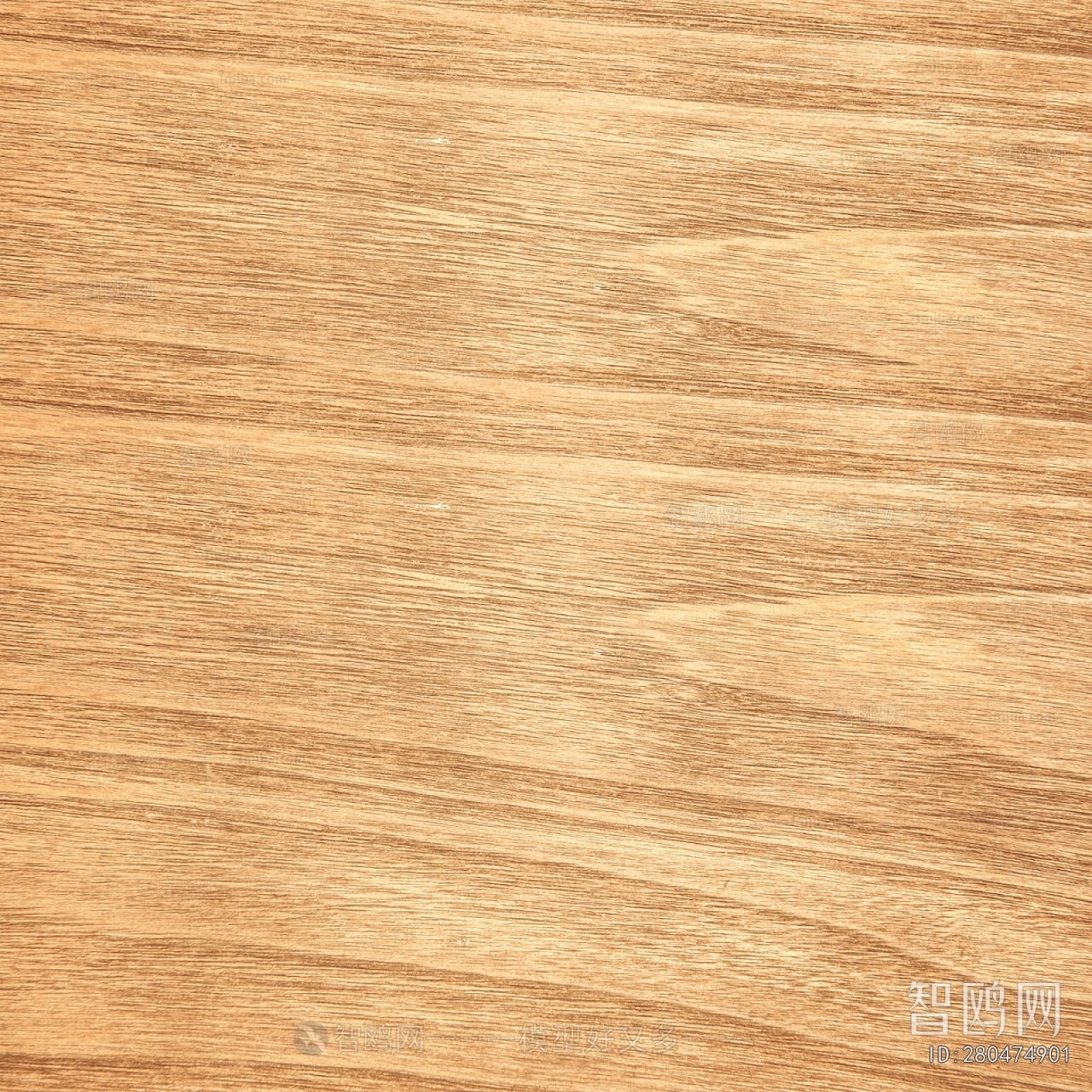 Wood Texture