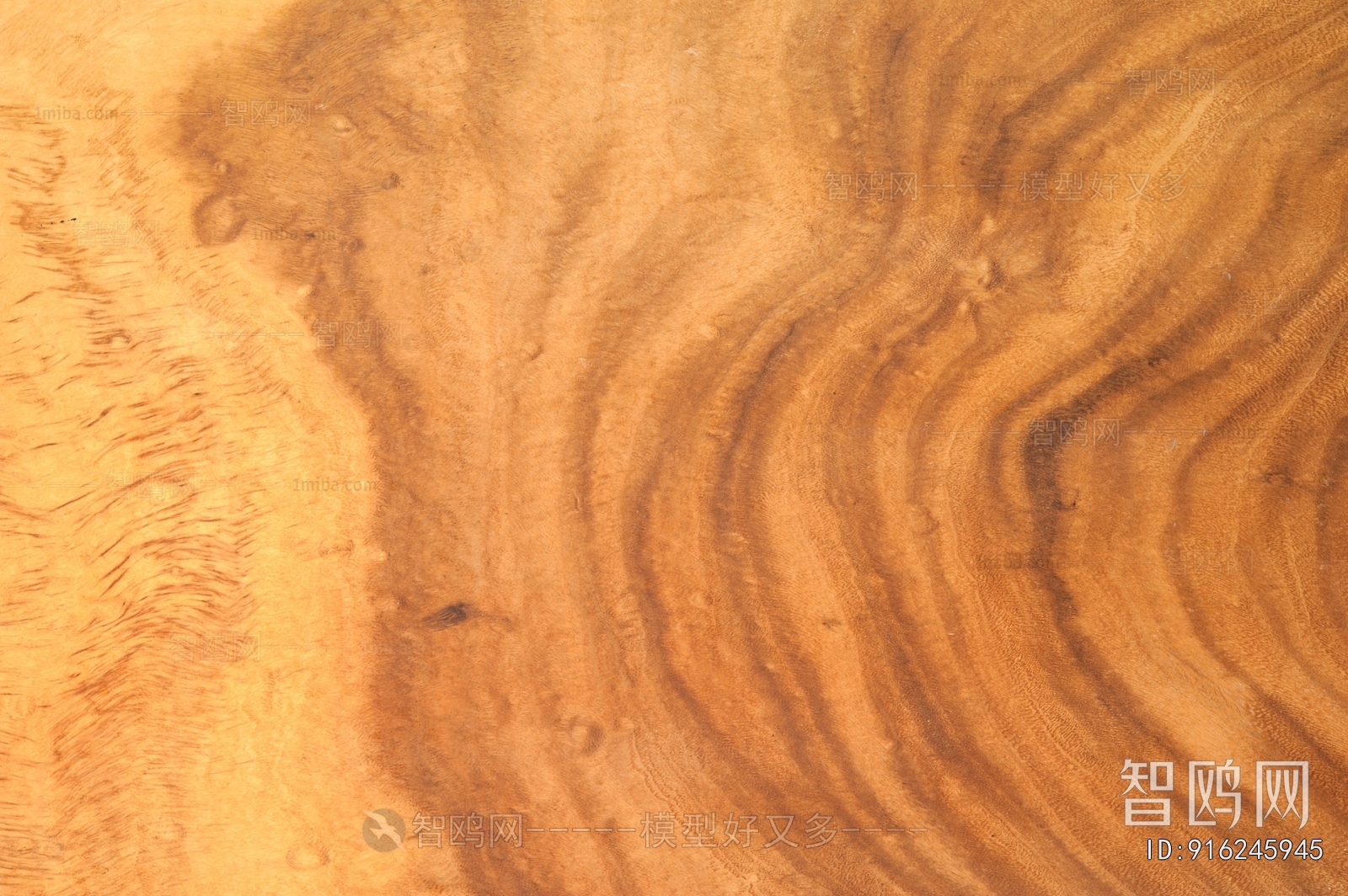 Wood Texture