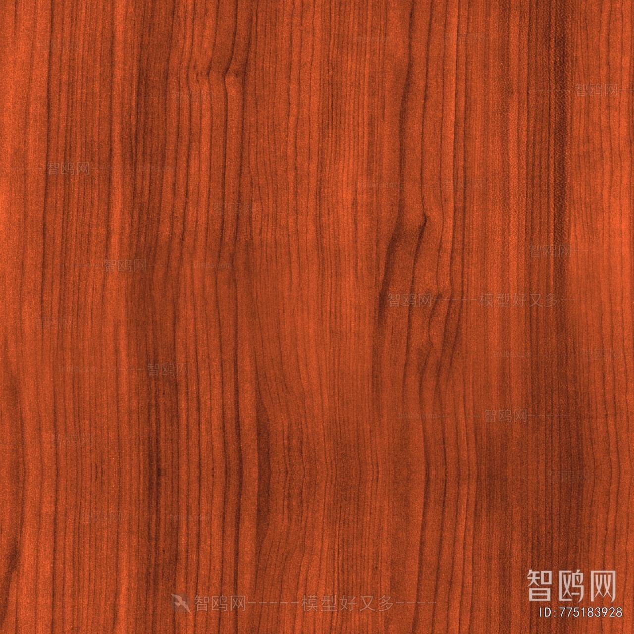 Wood Texture