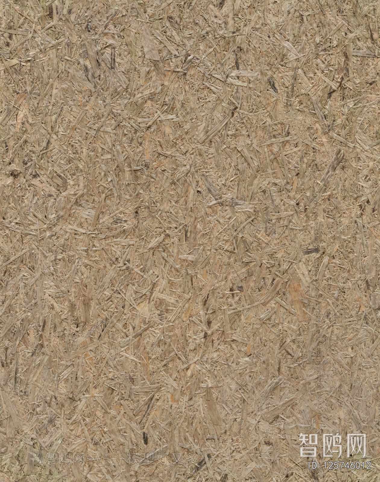 Plywood Texture