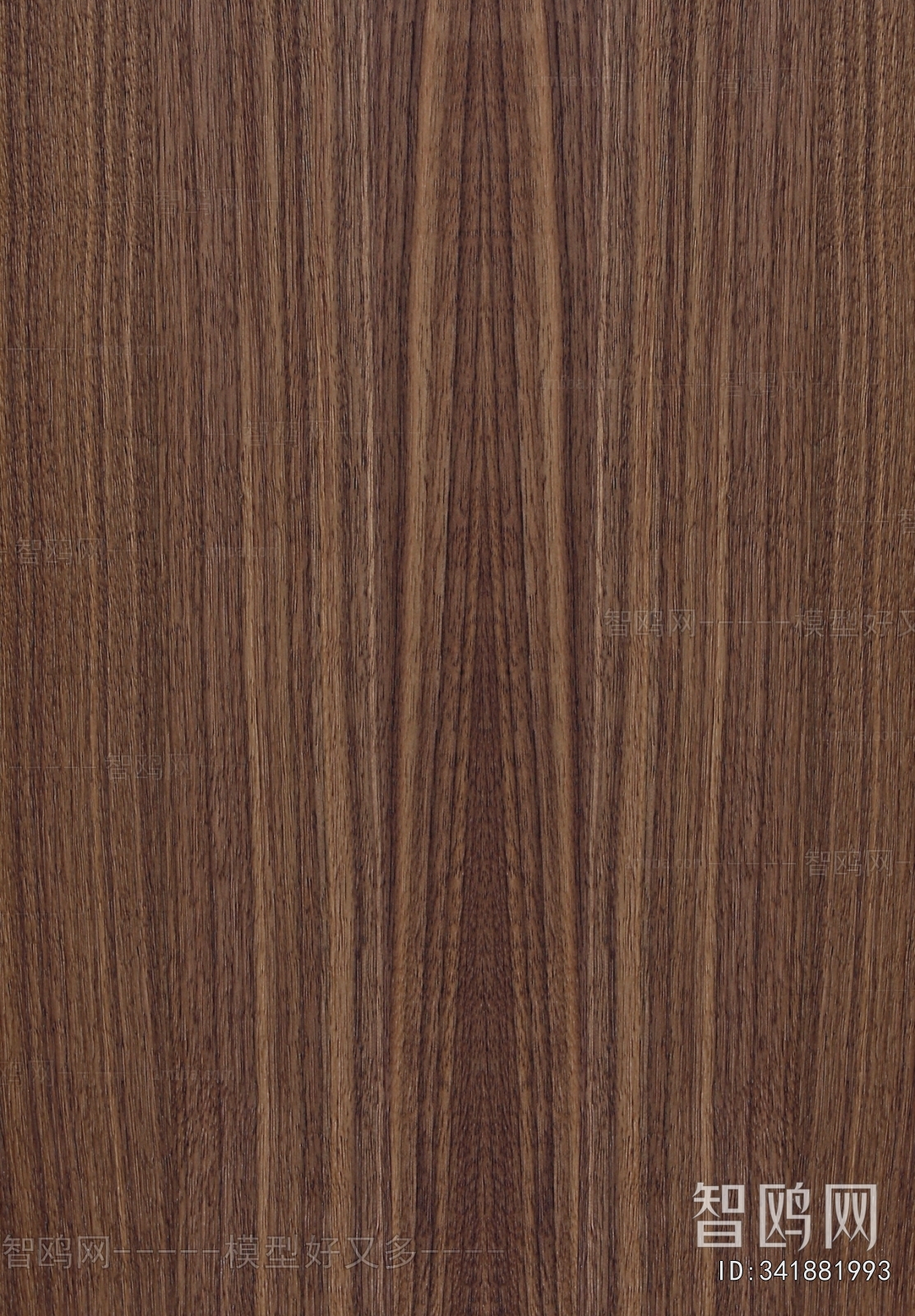 Wood Texture
