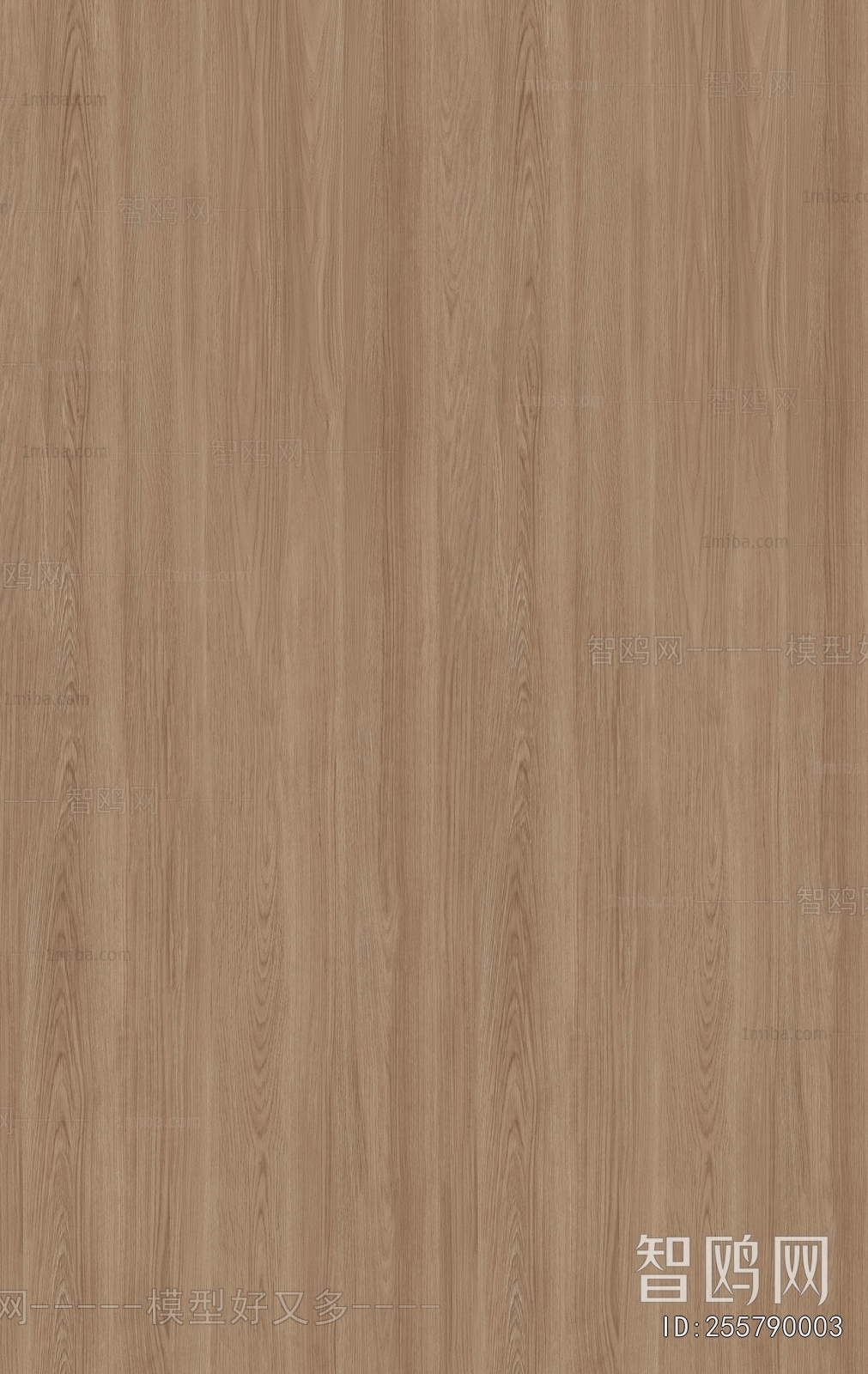 Wood Texture