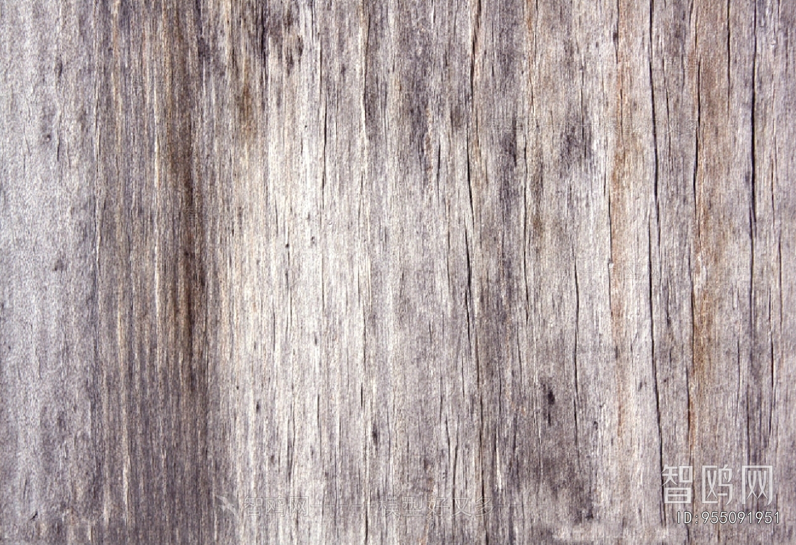 Wood Texture