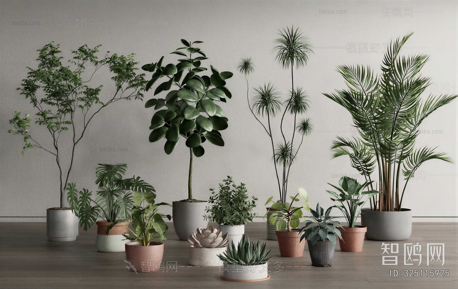 Modern Ground Green Plant Potted Plants
