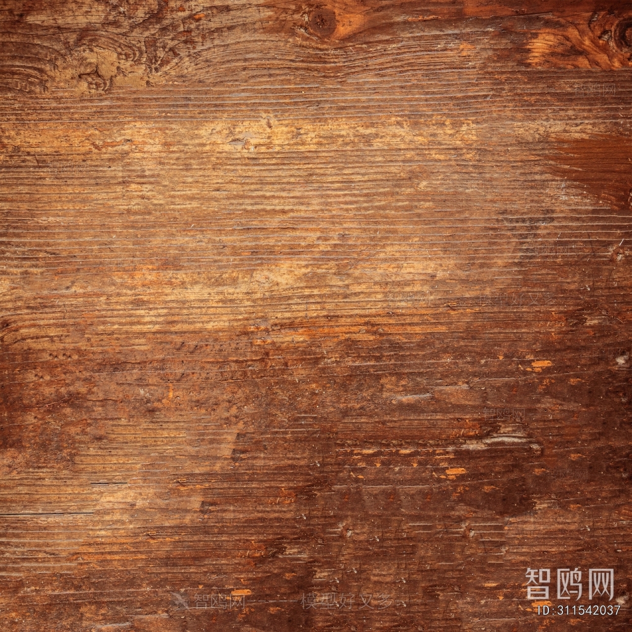Wood Texture