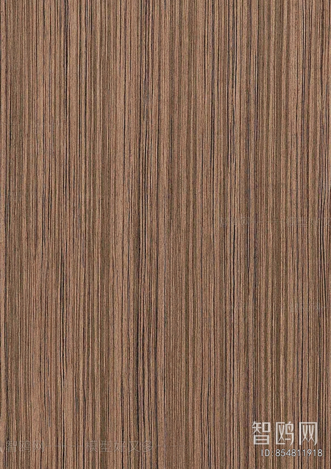 Wood Texture