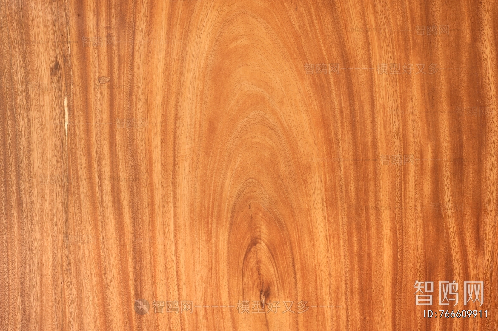 Wood Texture