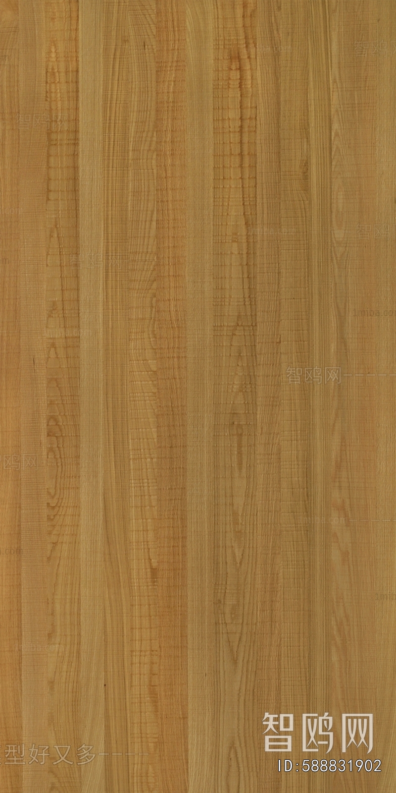 Wood Texture