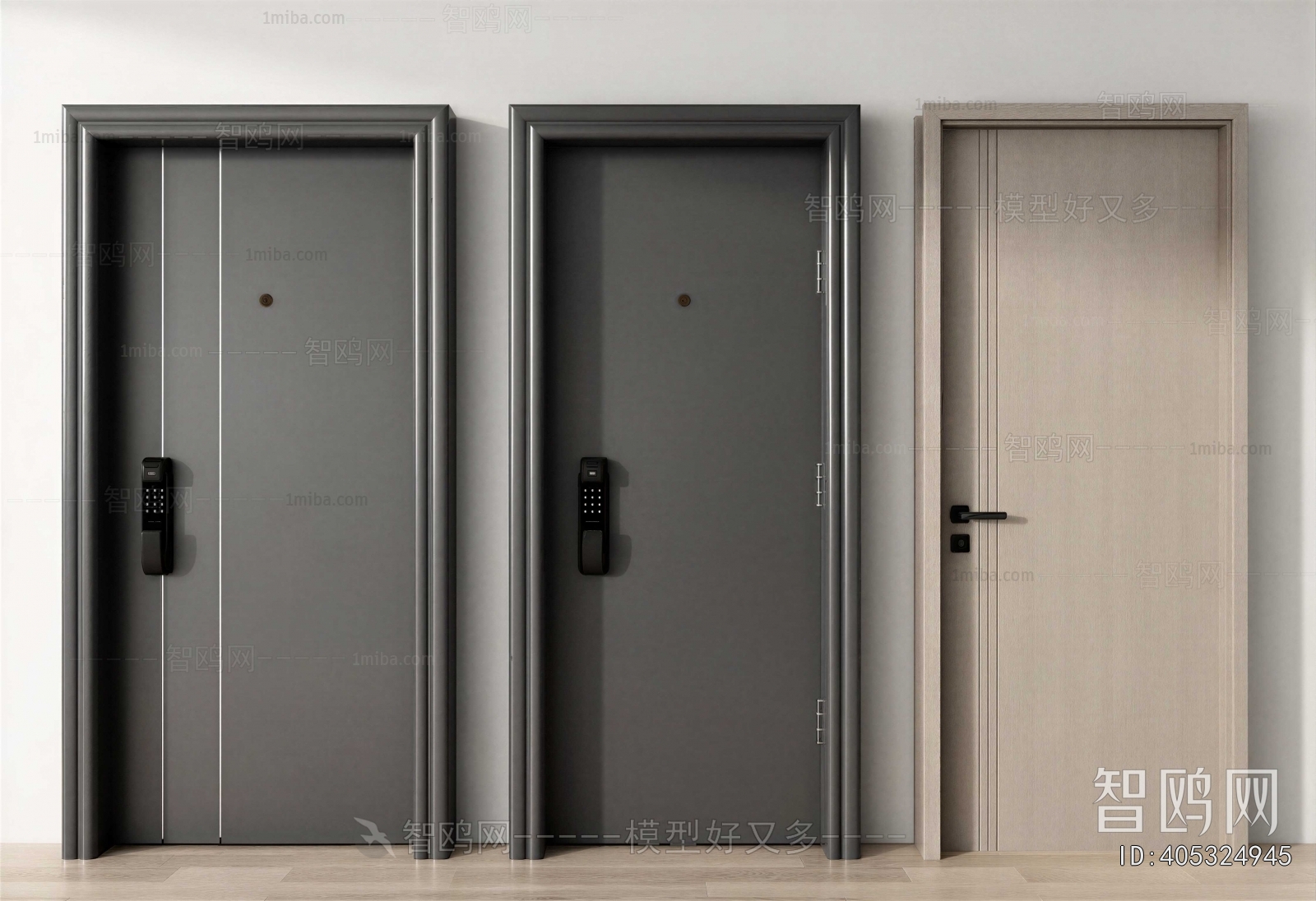 Modern Entrance Door