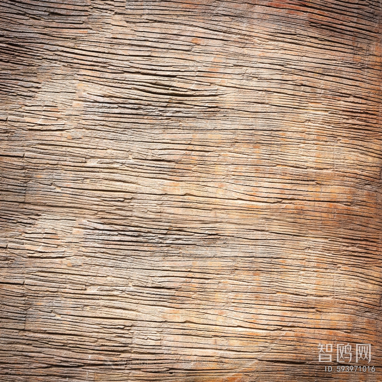 Wood Texture