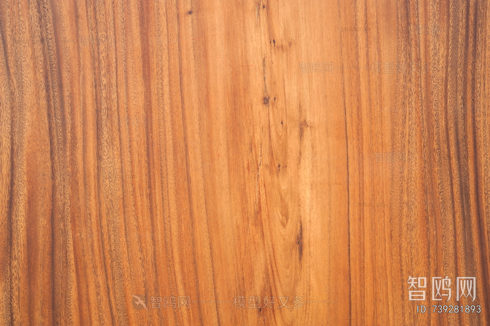 Wood Texture