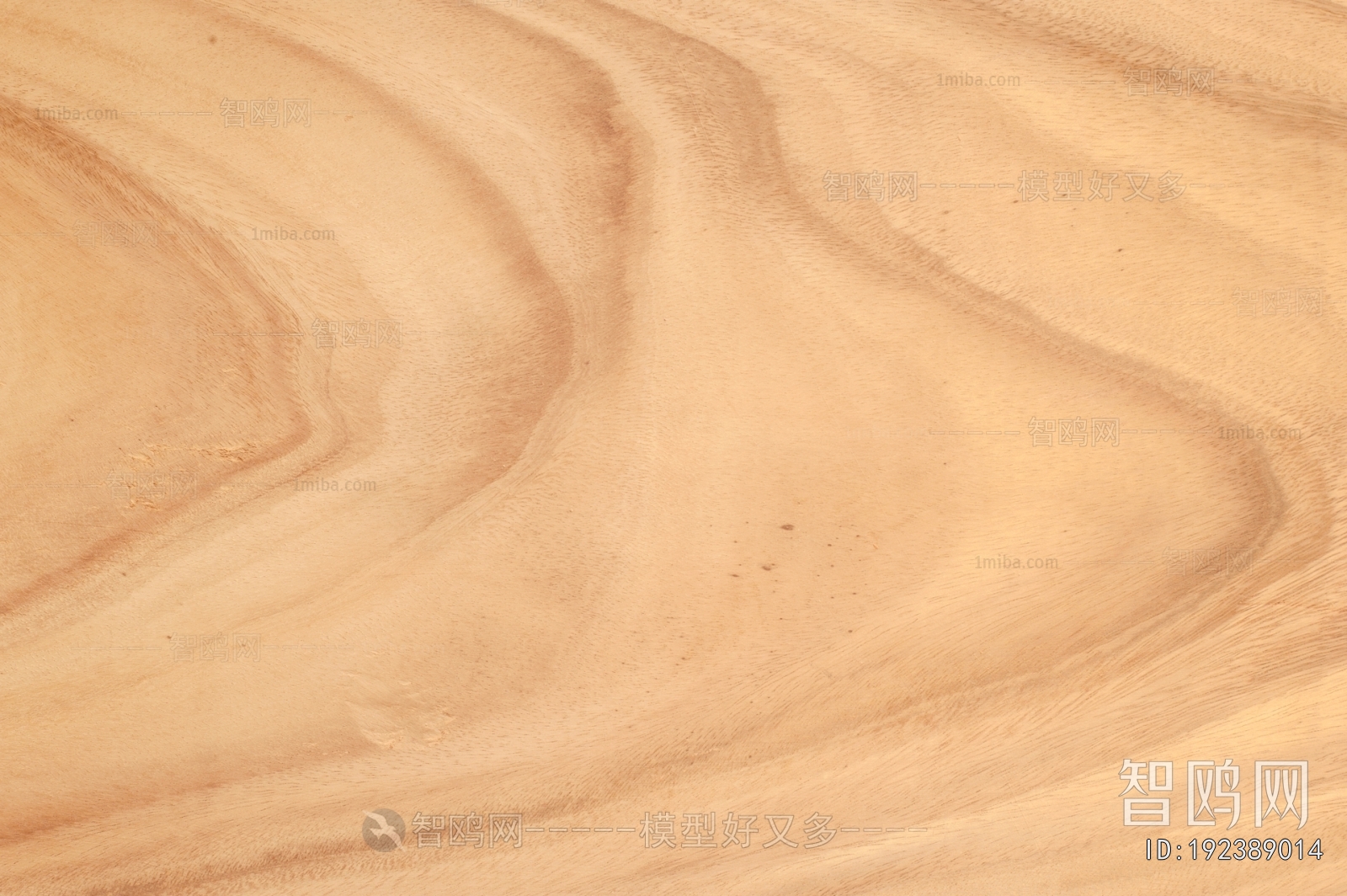 Wood Texture