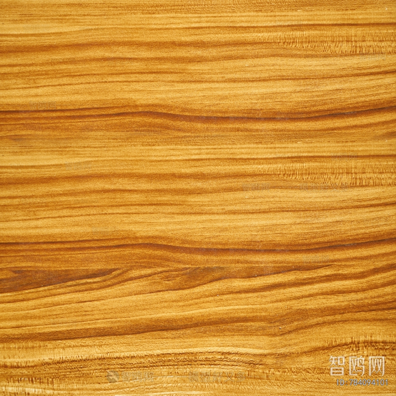 Wood Texture