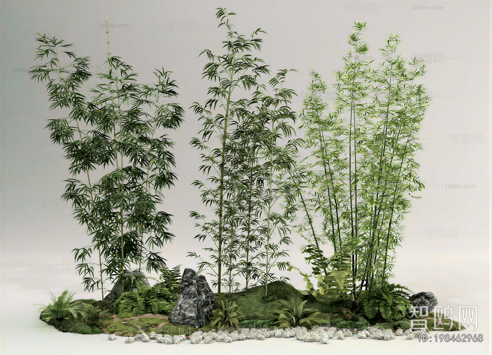 Modern Plant Landscaping