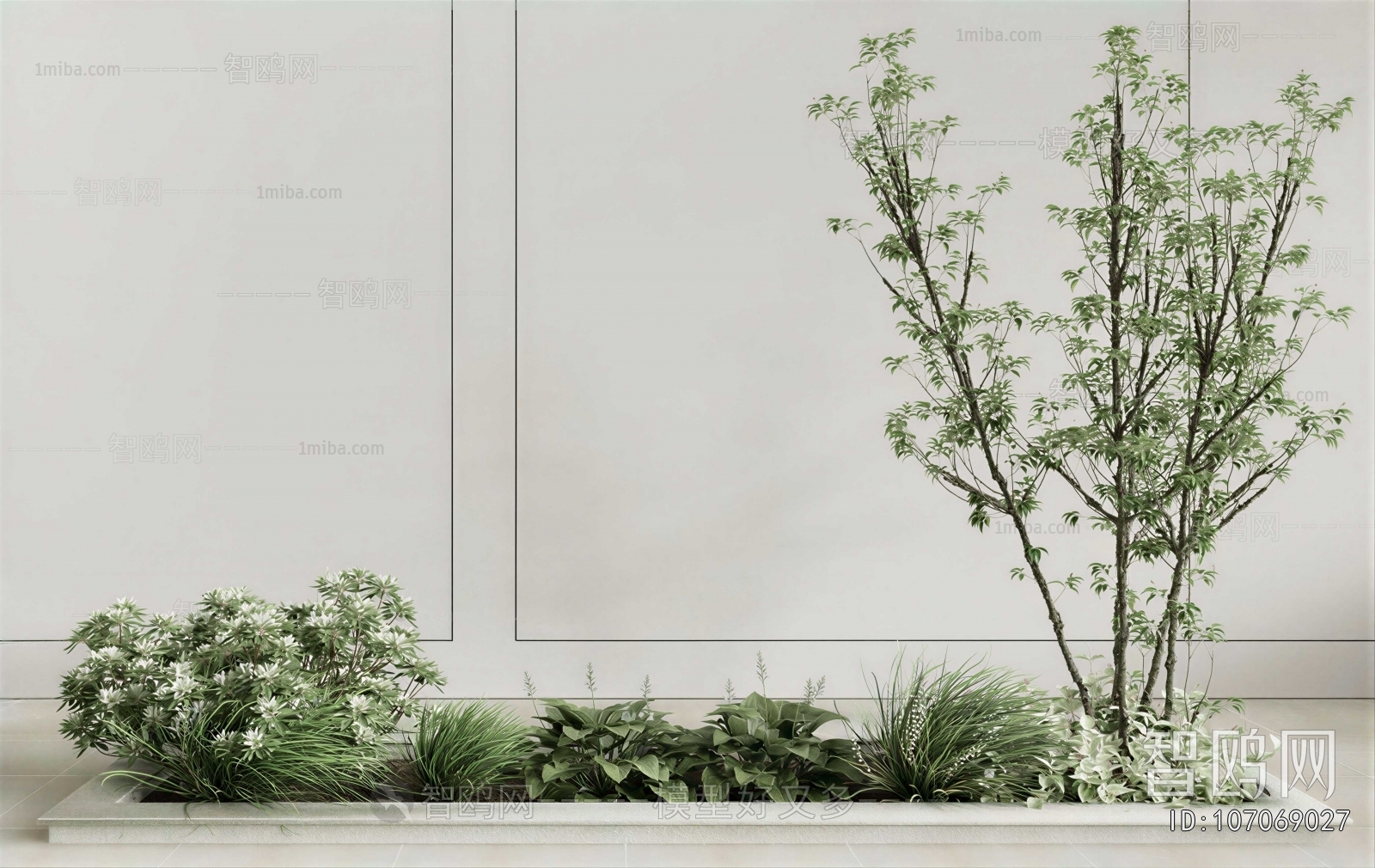 Modern Plant Landscaping